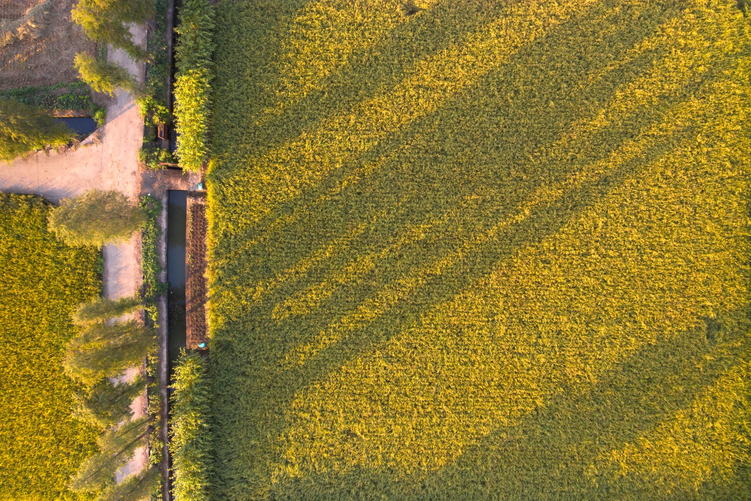 DJI_0597_edit_44071848830774.jpg