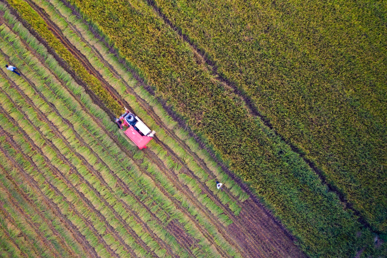 DJI_0704_edit_44097490200041.jpg