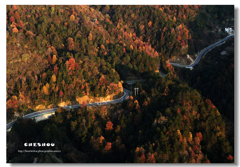 DJI_0036.jpg