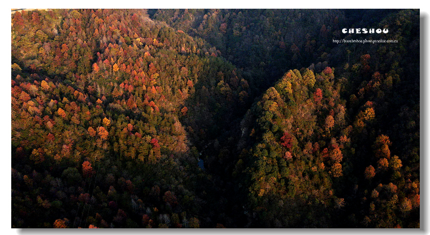 DJI_0038.jpg