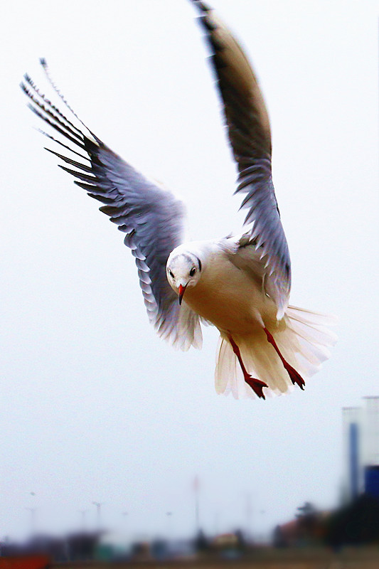 IMG_3730b_副本_副本.jpg