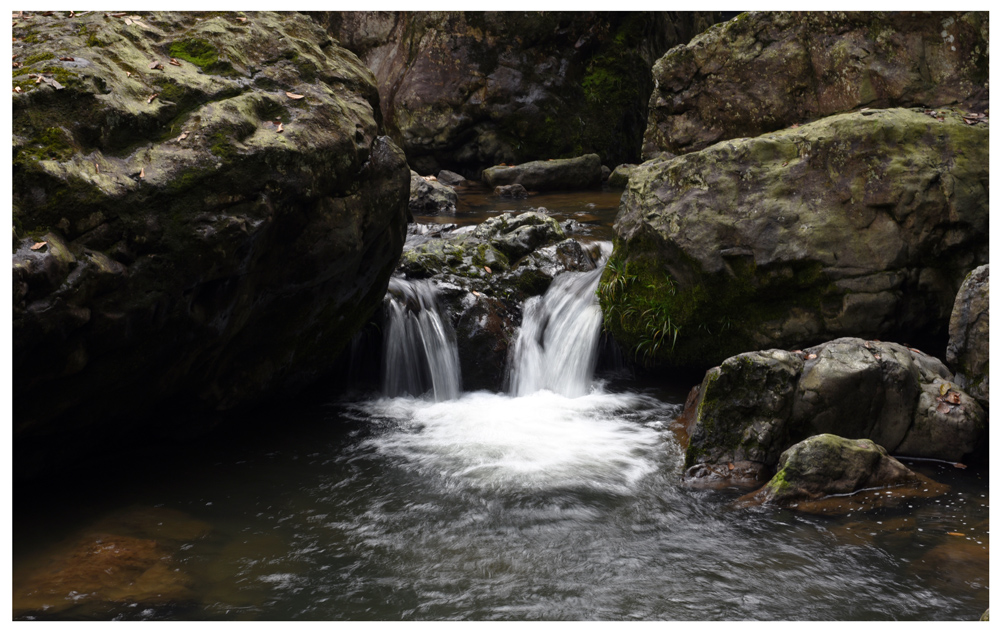 DSC_5545.JPG