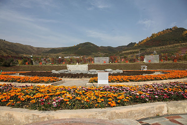 IMG_1472.JPG