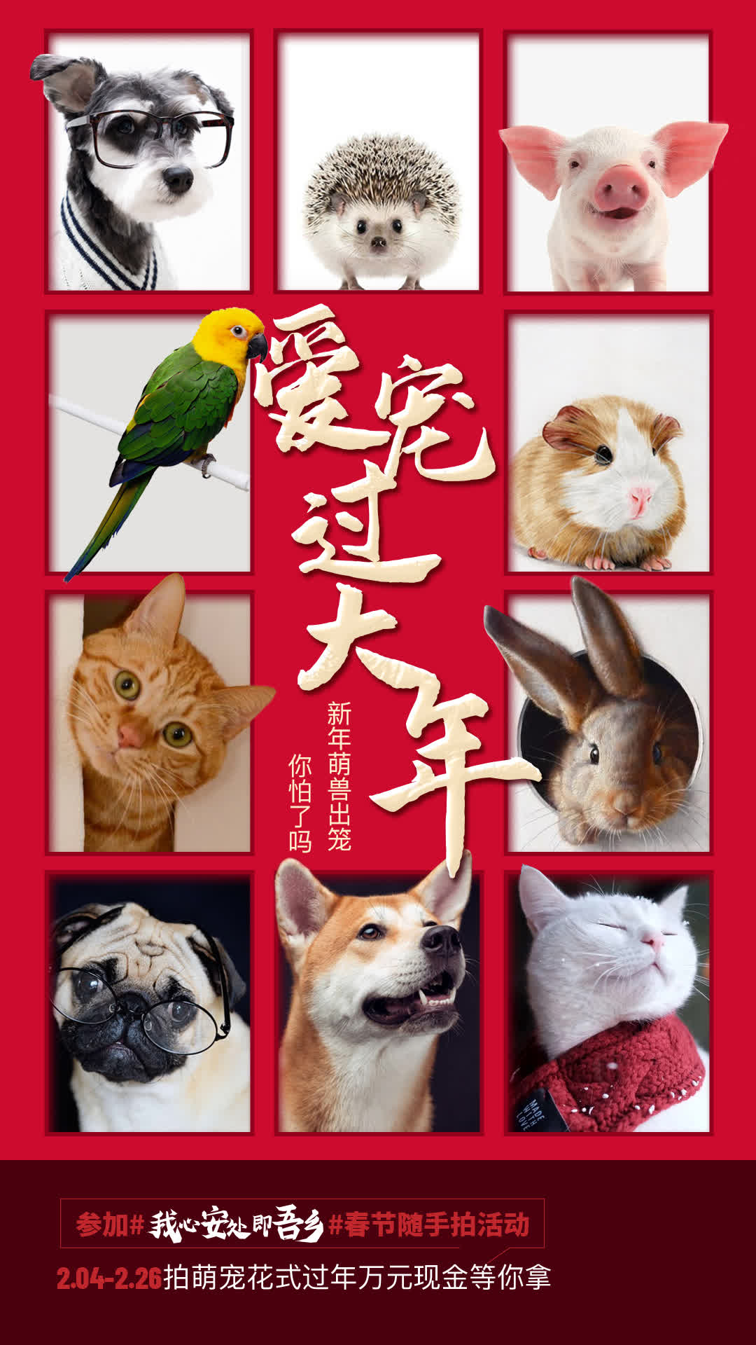 微信图片_20210219102737(2).jpg