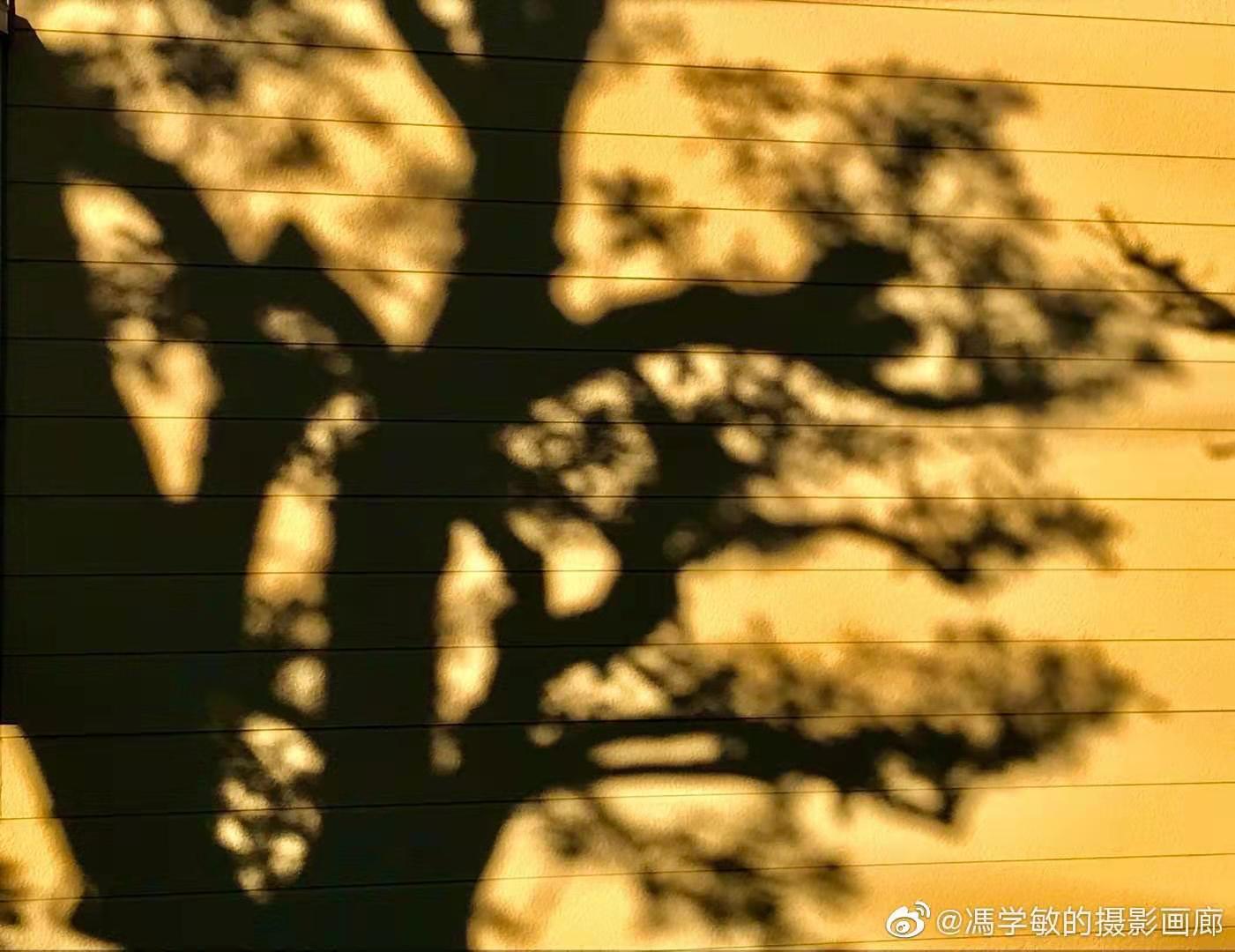 d63559fc16098f38930f27db0fa9b88.jpg