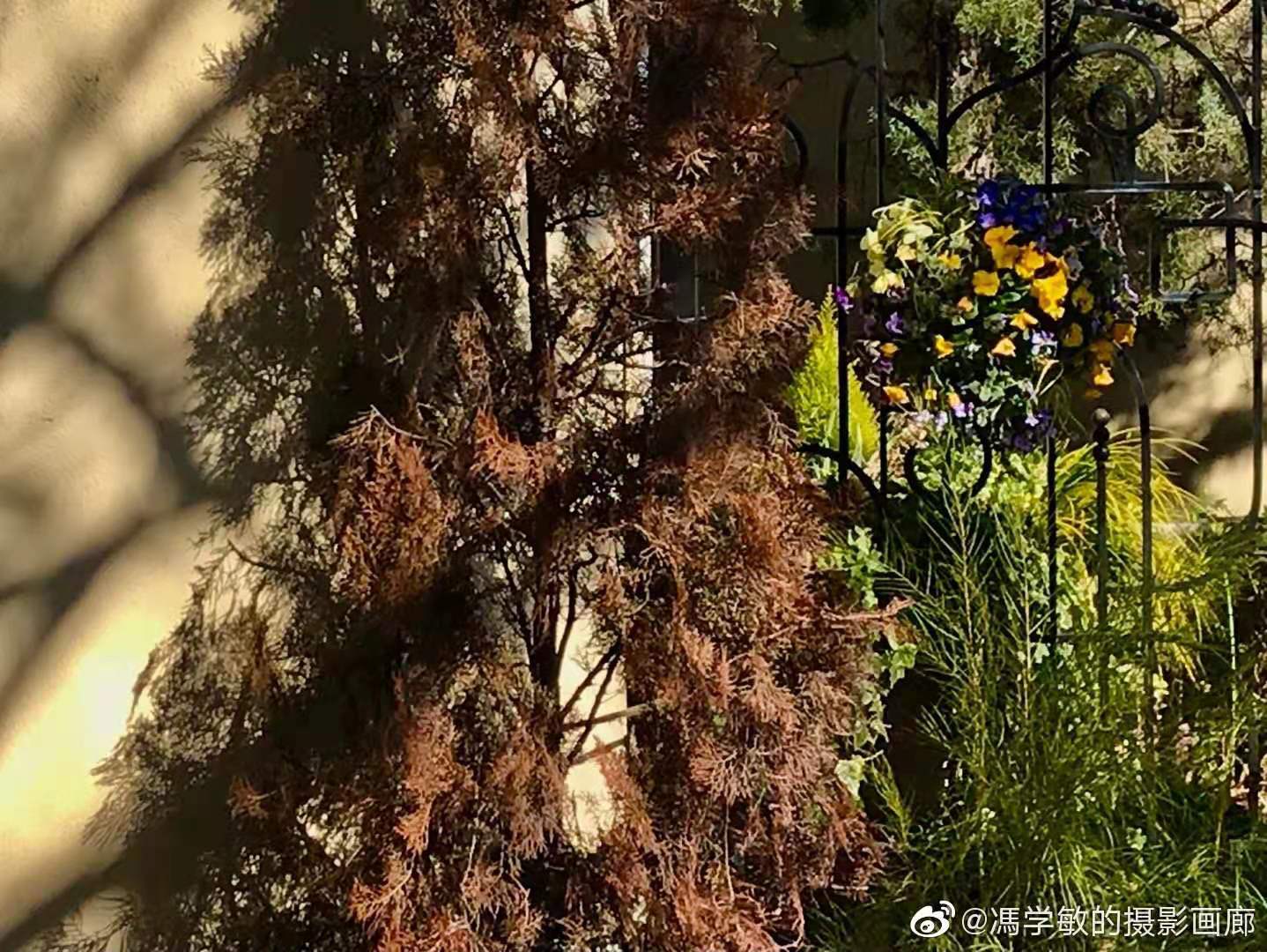 微信图片_20210221152907.jpg