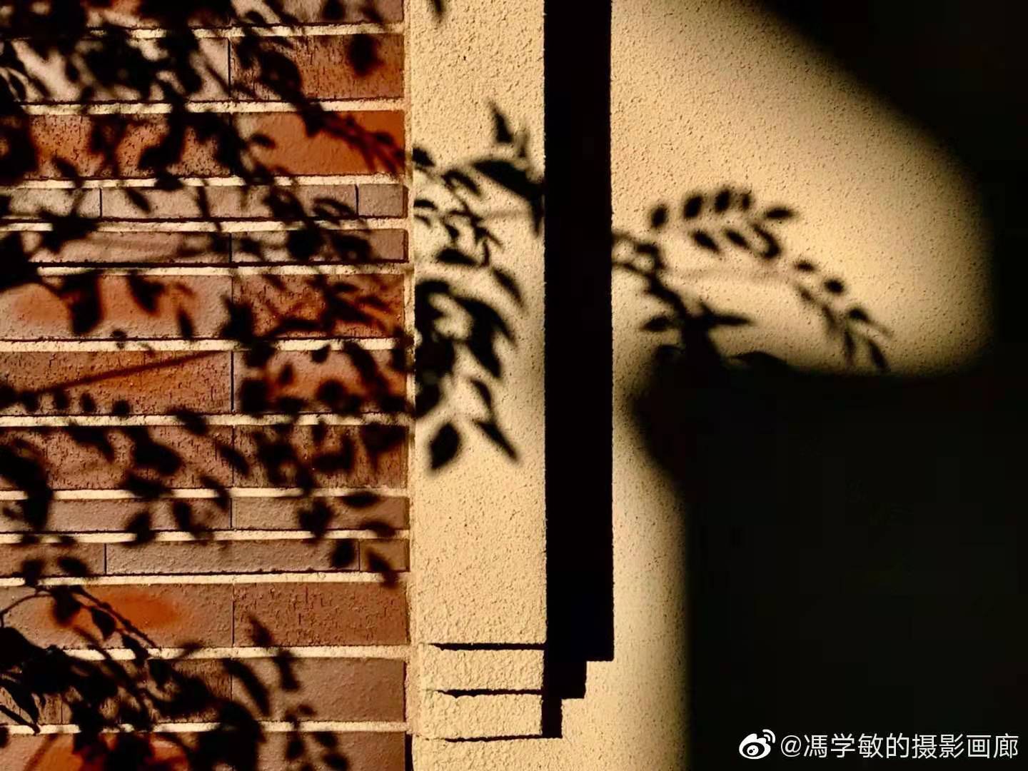 微信图片_20210221152933.jpg