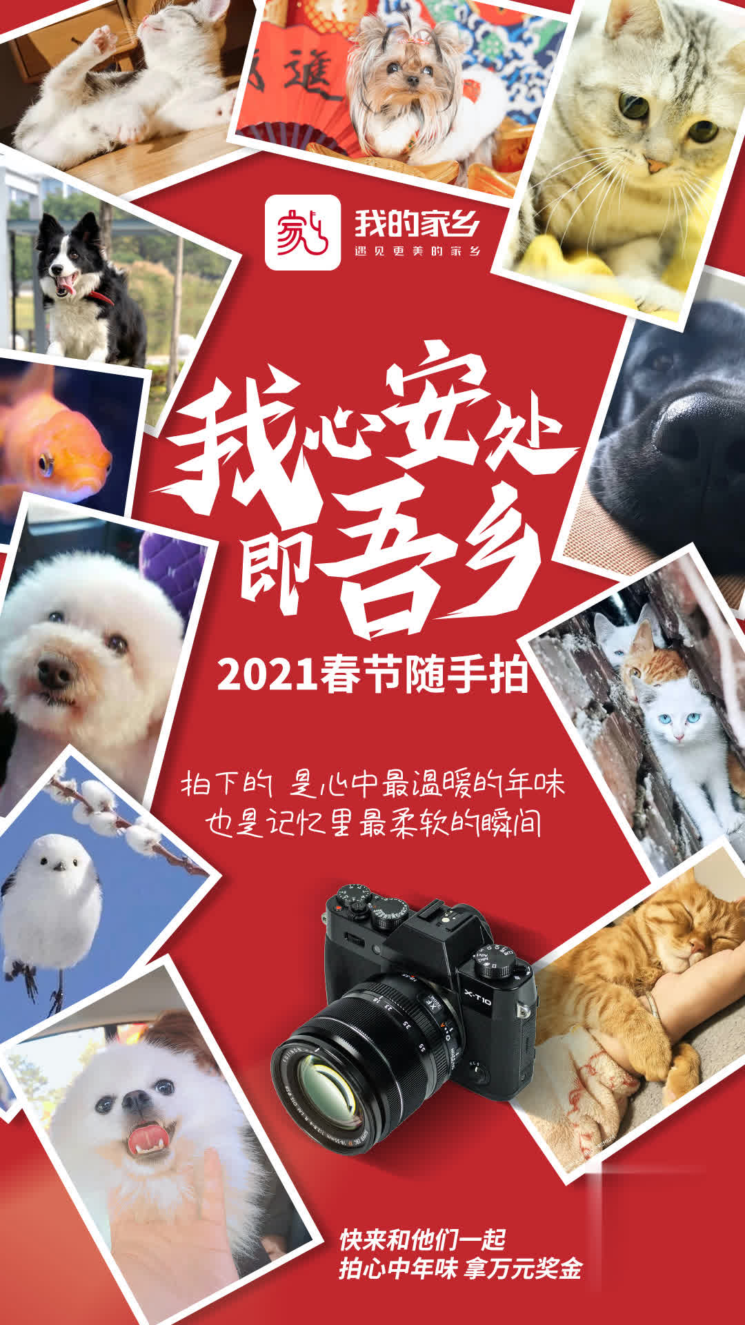 微信图片_20210222093753(2).jpg