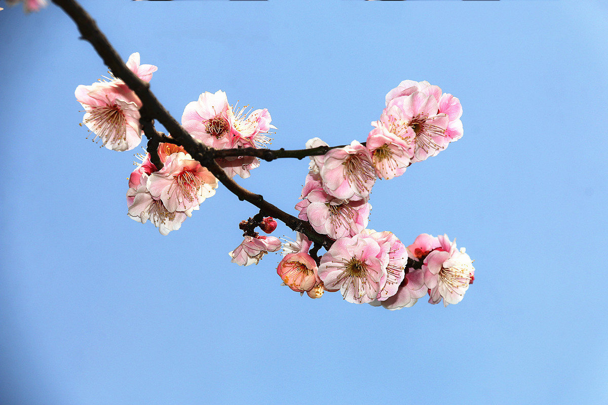 IMG_9561_副本_副本.jpg