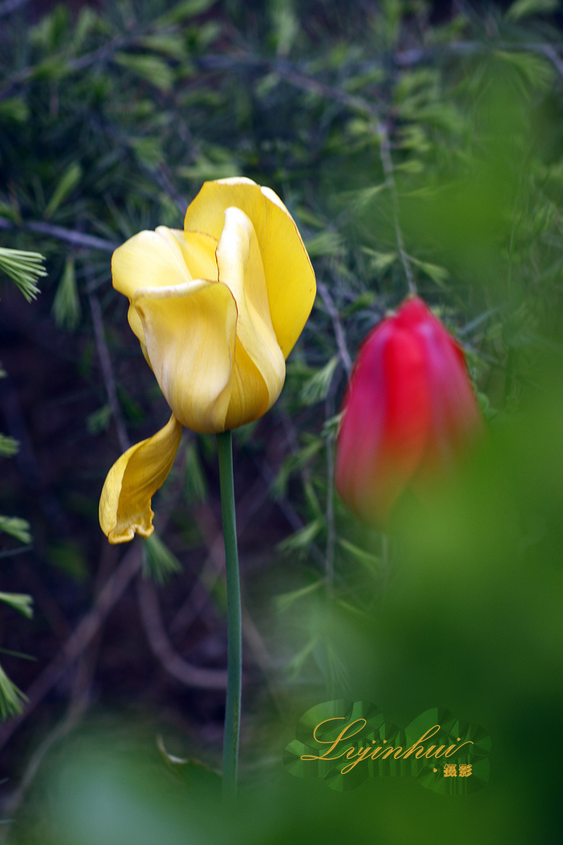 _MG_59951.jpg