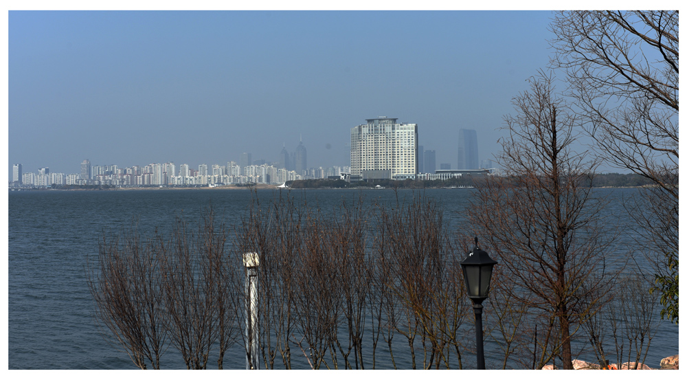 DSC_6482.JPG