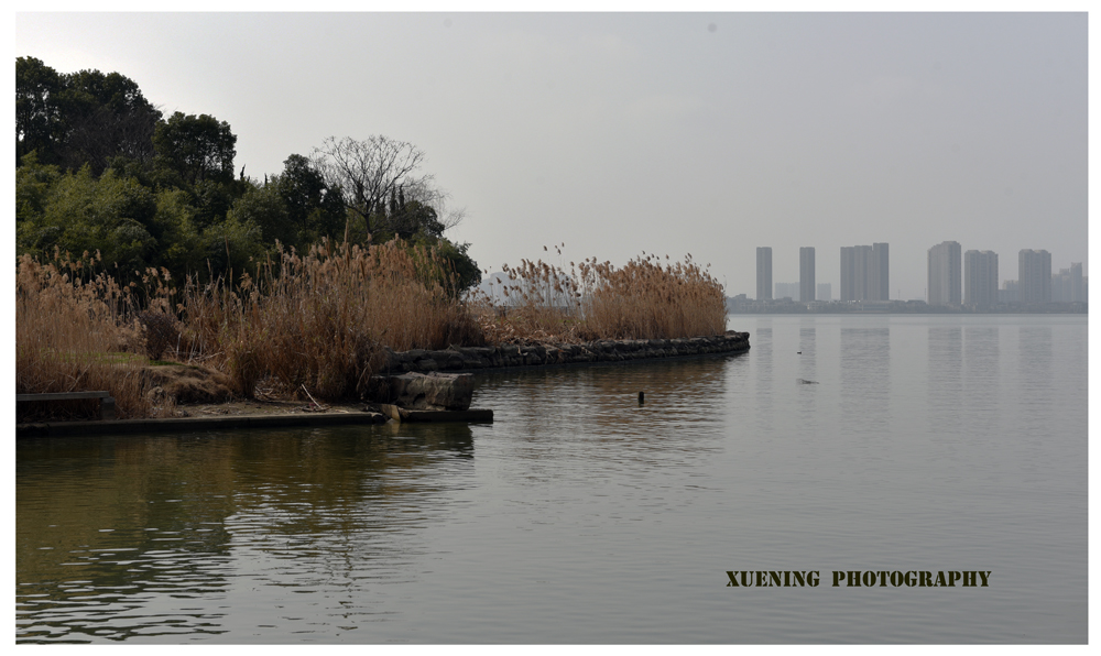 DSC_6459.JPG