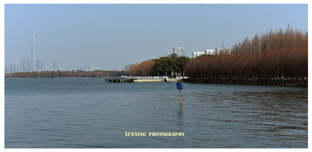 DSC_6491.JPG
