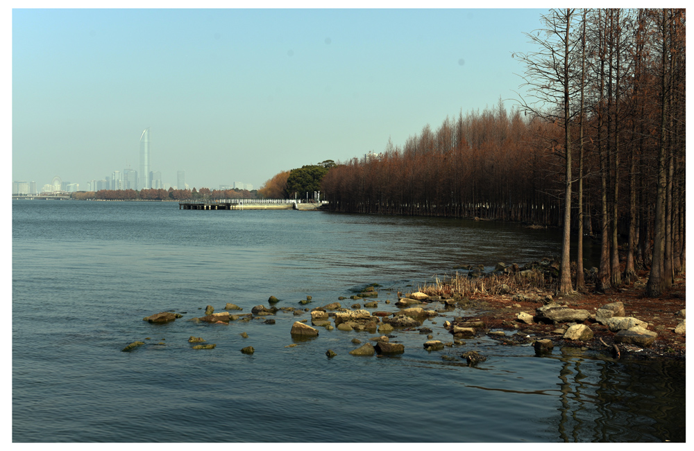 DSC_6494.JPG