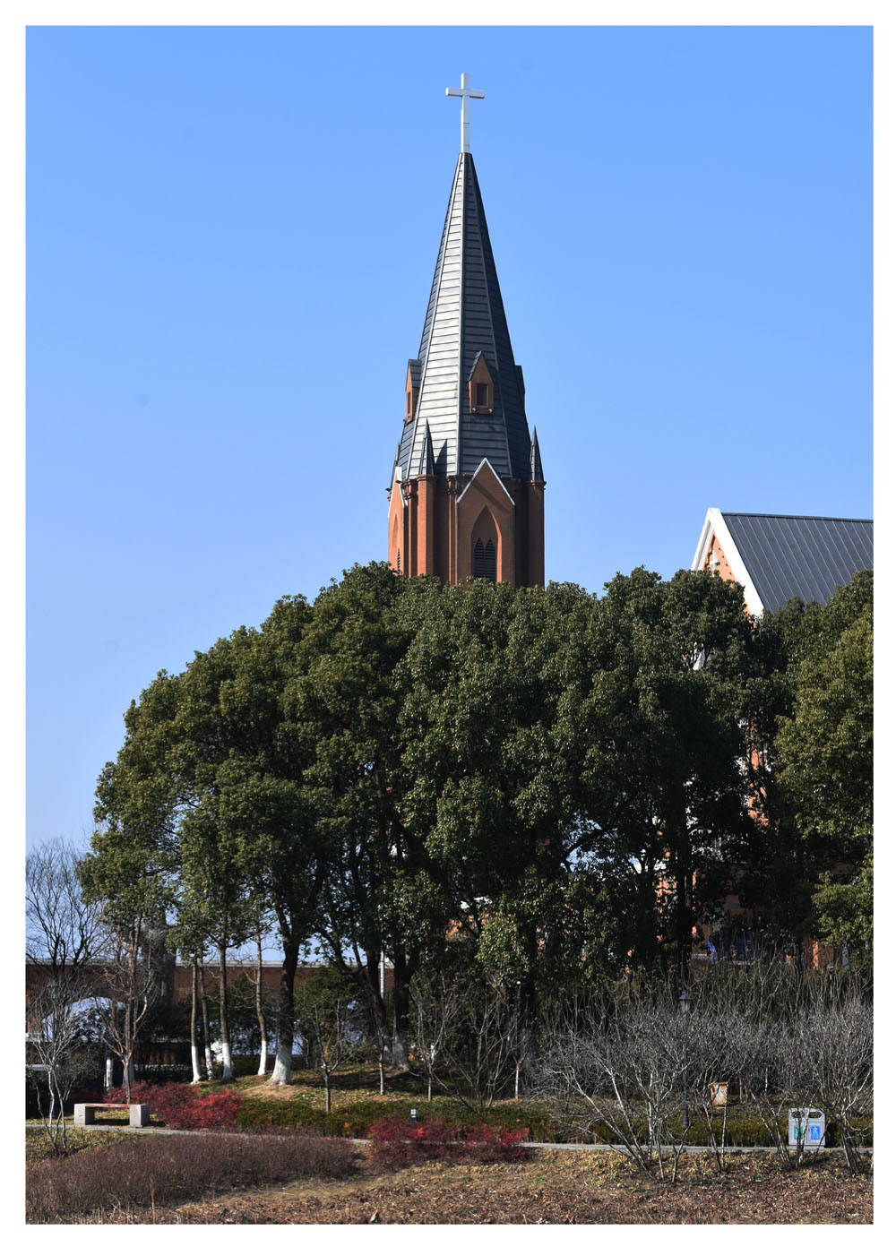 DSC_6583.JPG