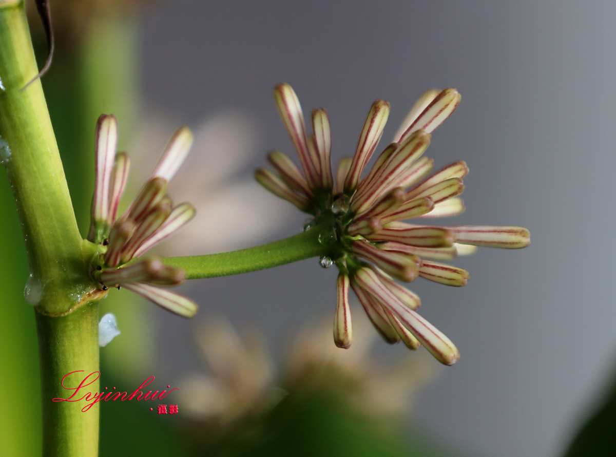 IMG_78491.jpg