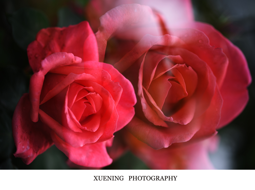 DSC_9780.JPG