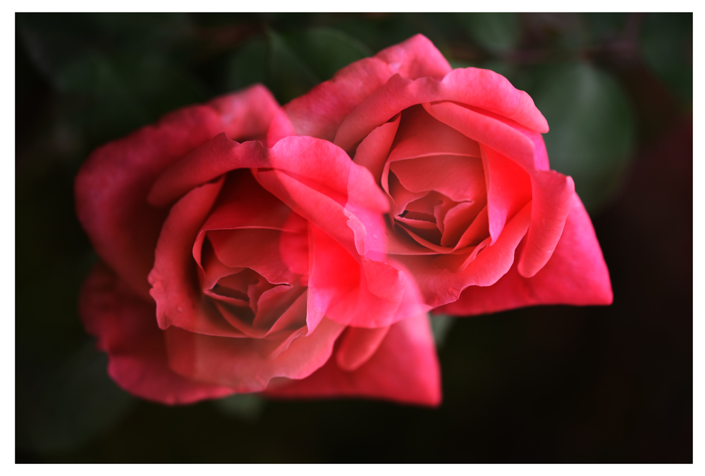 DSC_9781.JPG