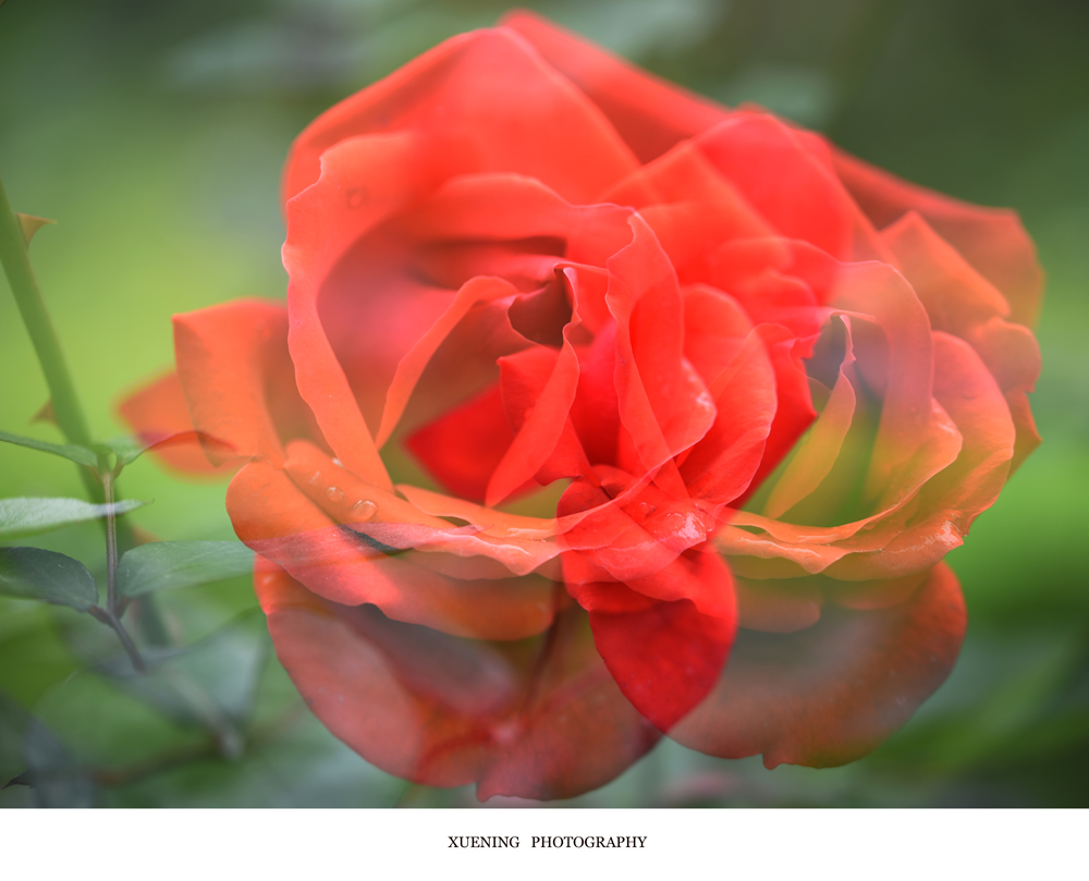 DSC_9788.JPG
