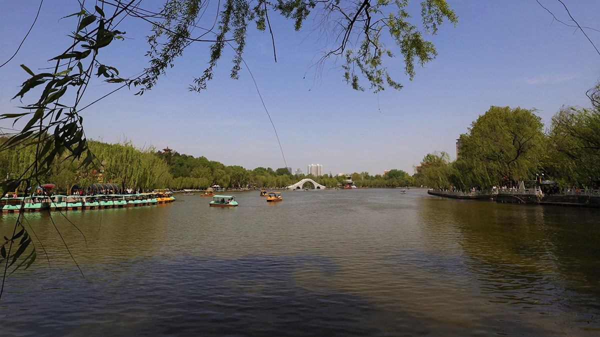 8R3A8846.JPG
