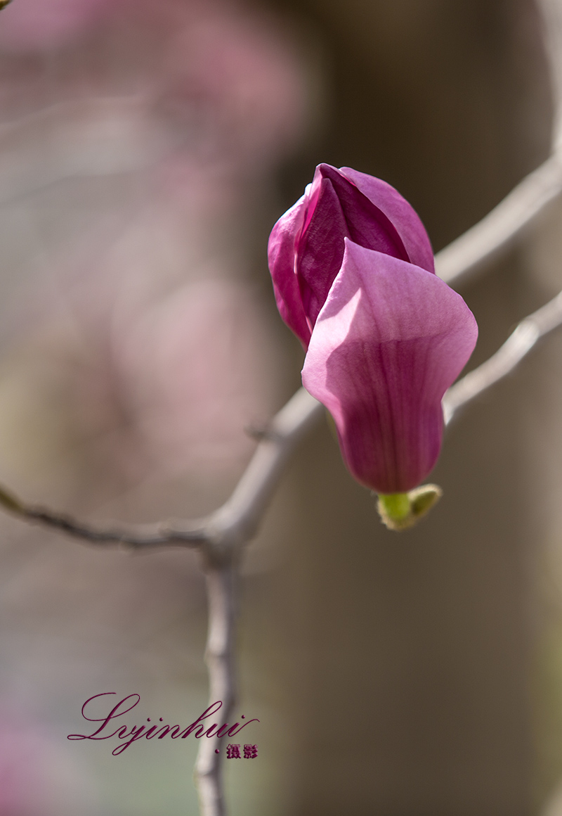 IMG_98941.jpg