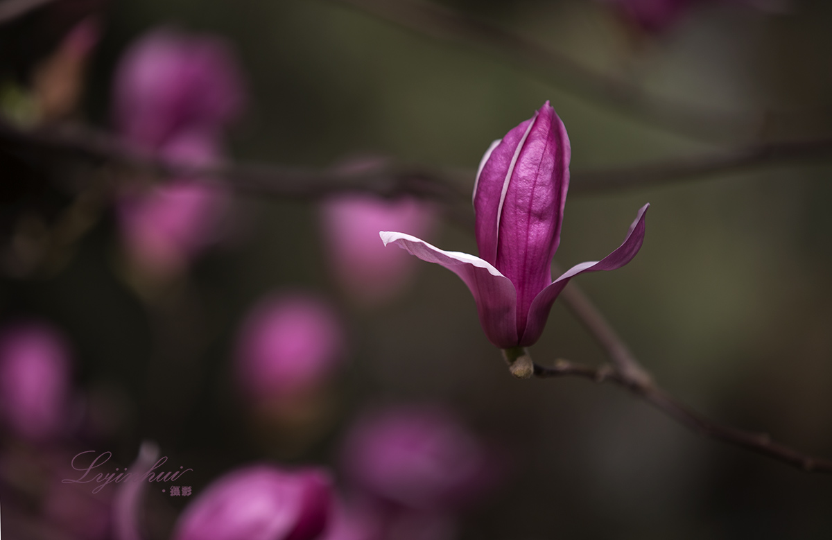 IMG_98751.jpg