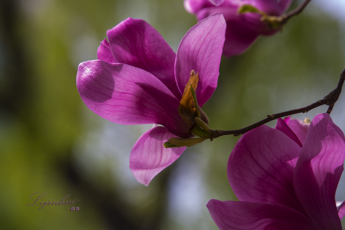 IMG_99671.jpg