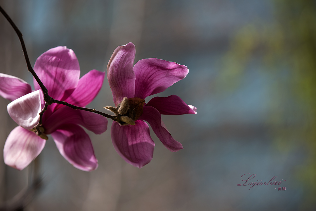 IMG_99801.jpg