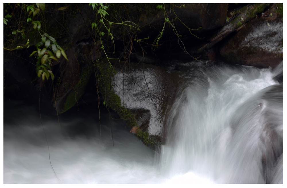 DSC_0035.JPG