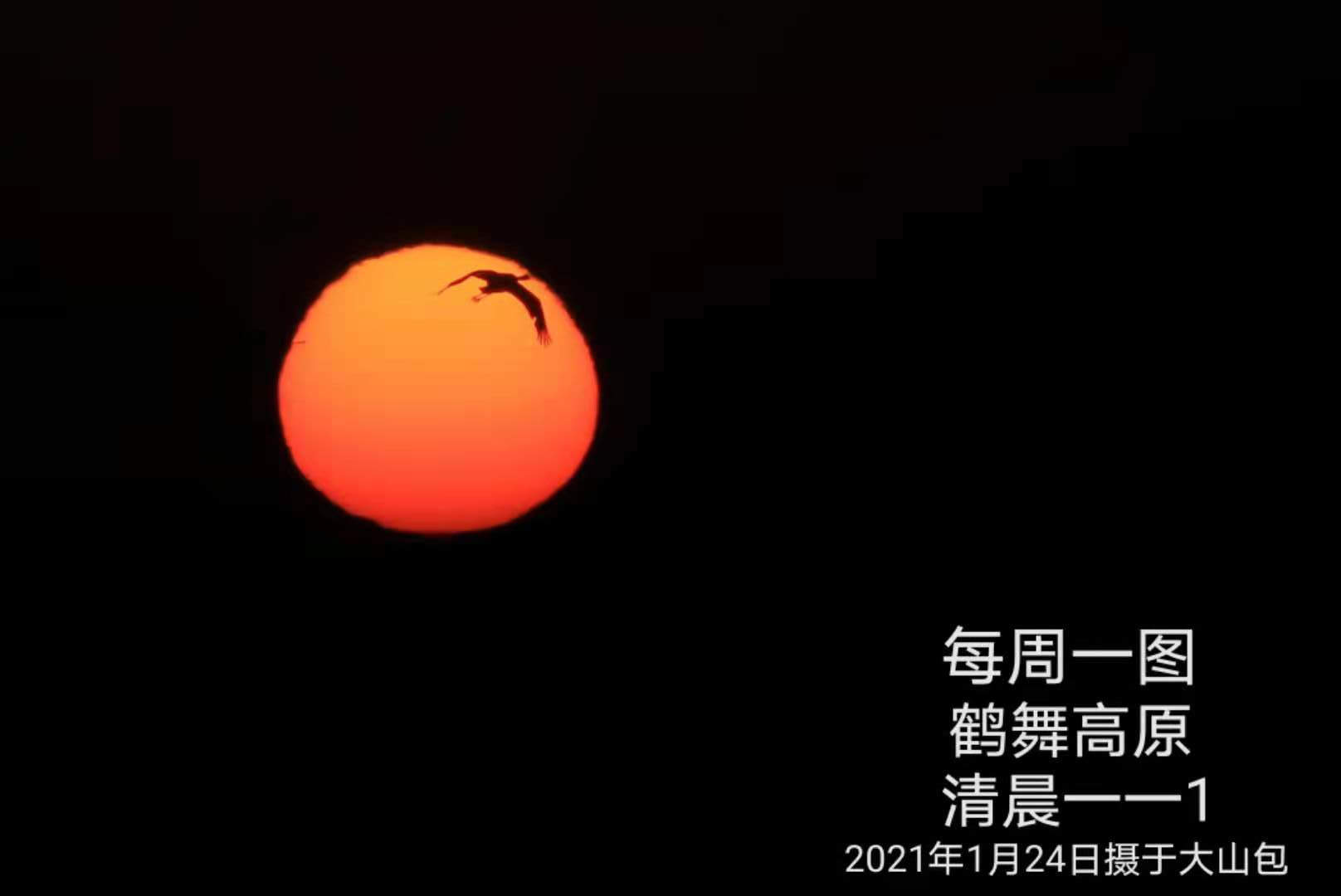 鹤舞高原