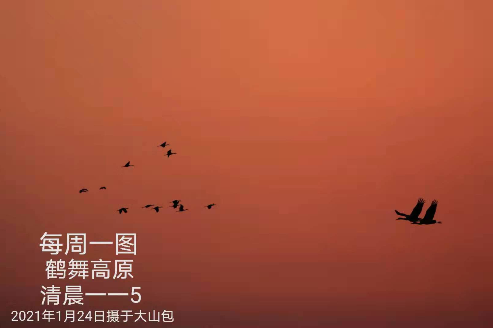 鹤舞高原