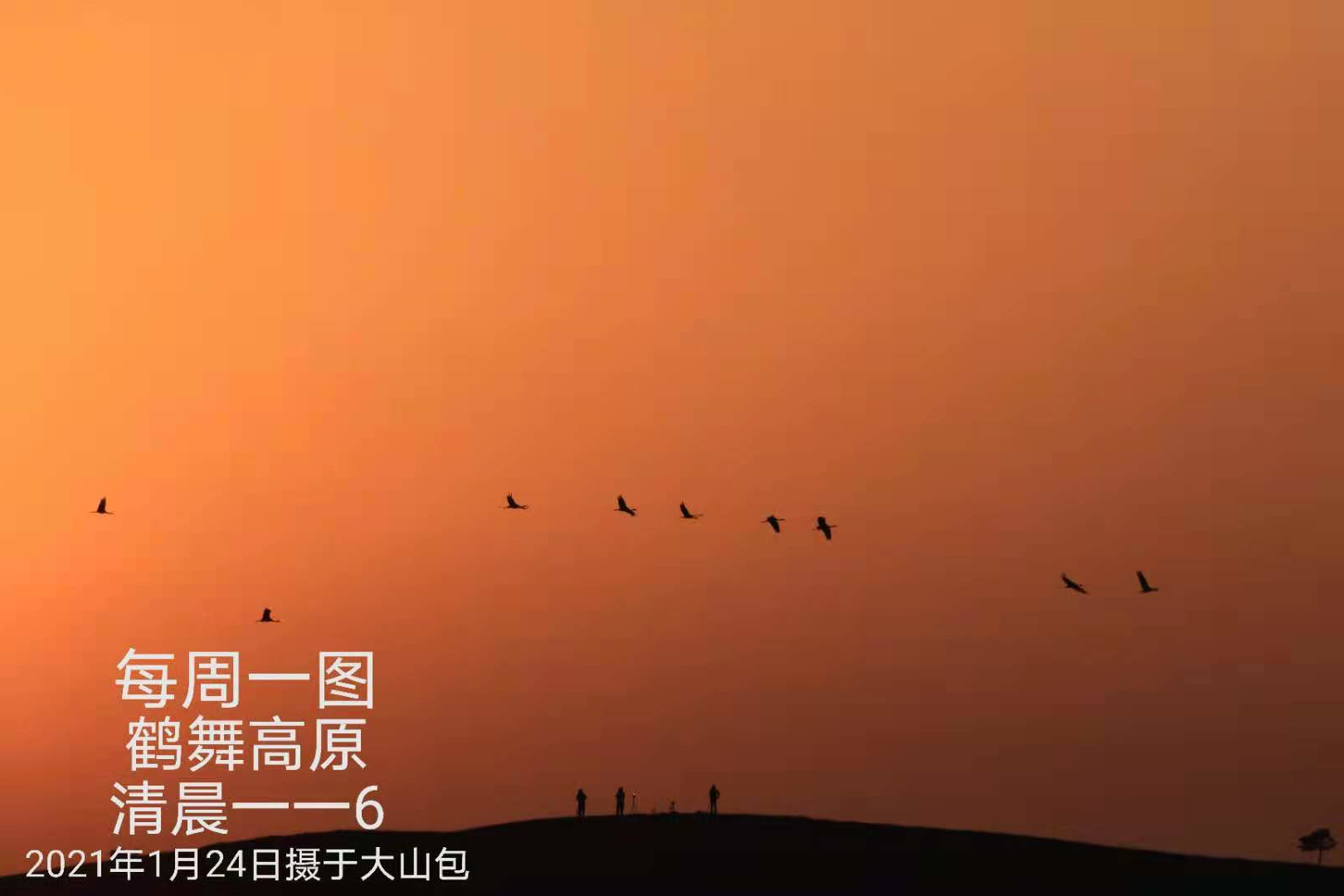 鹤舞高原