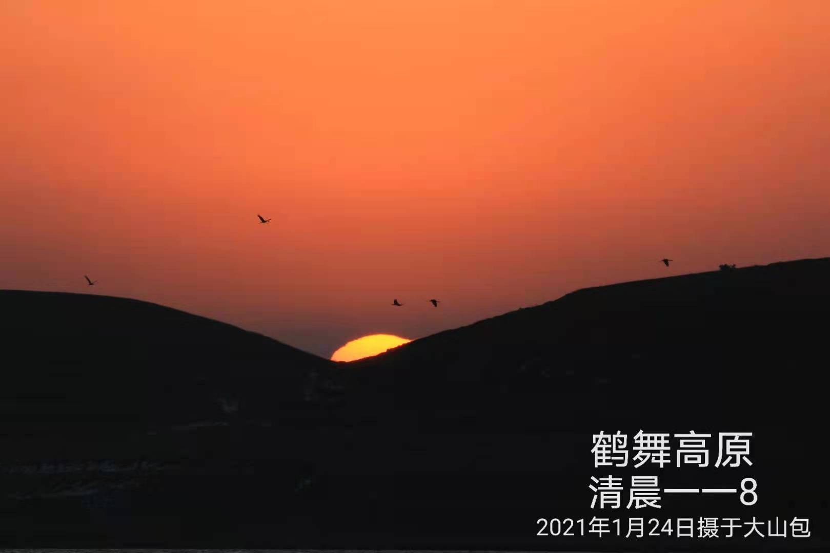 鹤舞高原