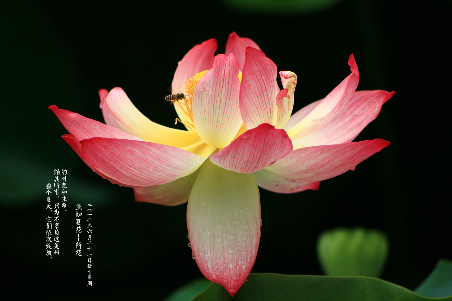 照片35 107_副本.jpg