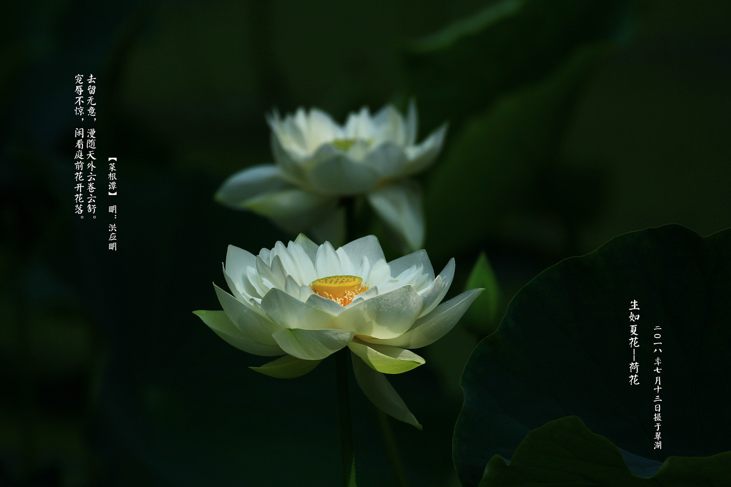IMG_7163_副本.jpg