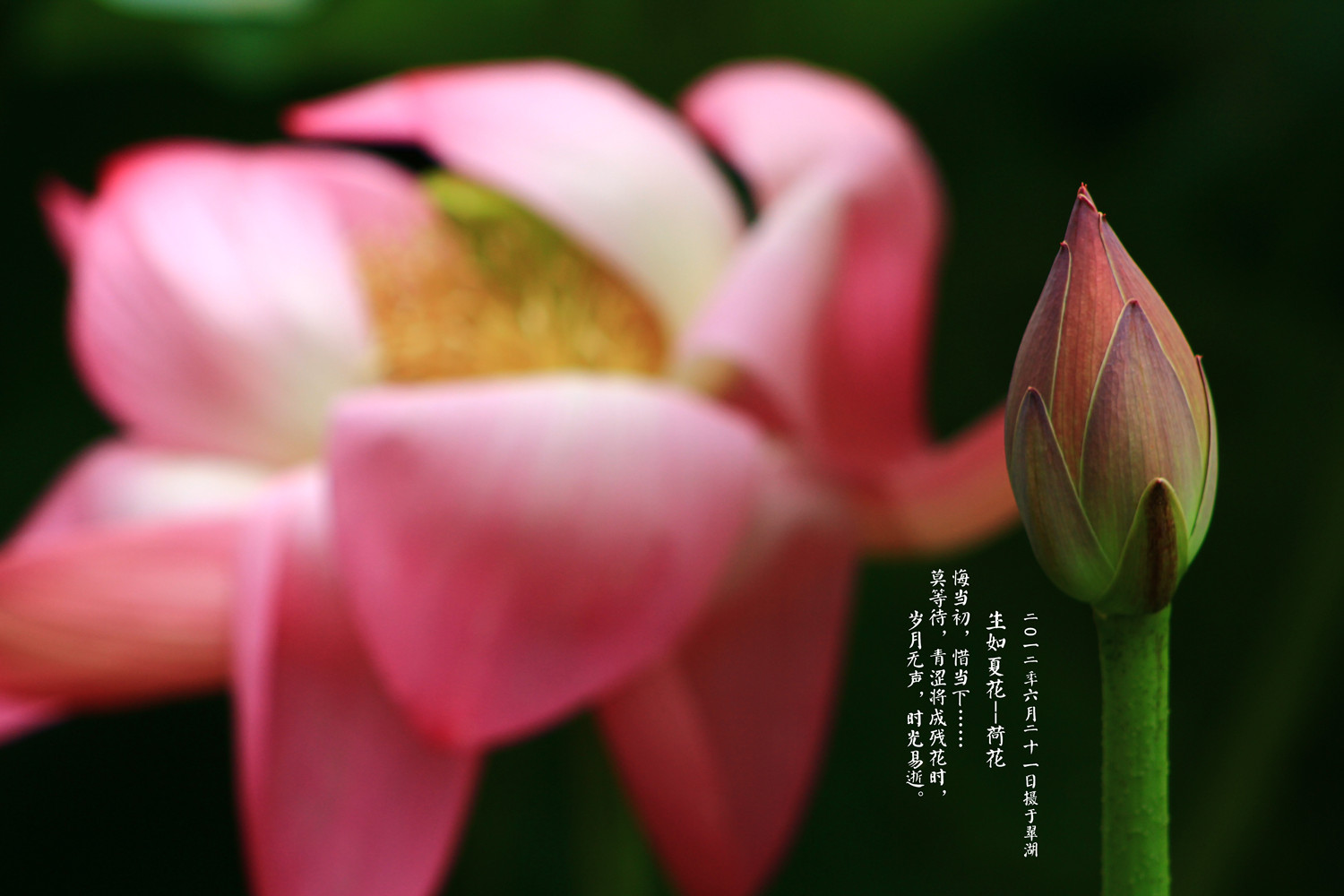 照片35 355_副本1.jpg
