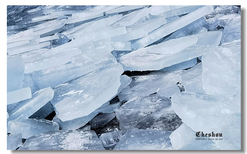 _DSC9463.jpg