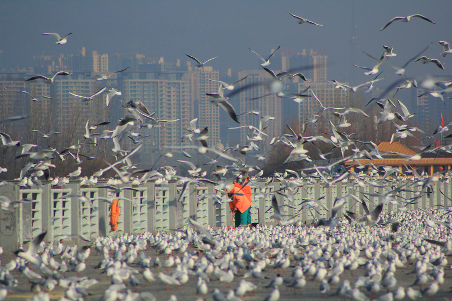 IMG_6343_副本.jpg