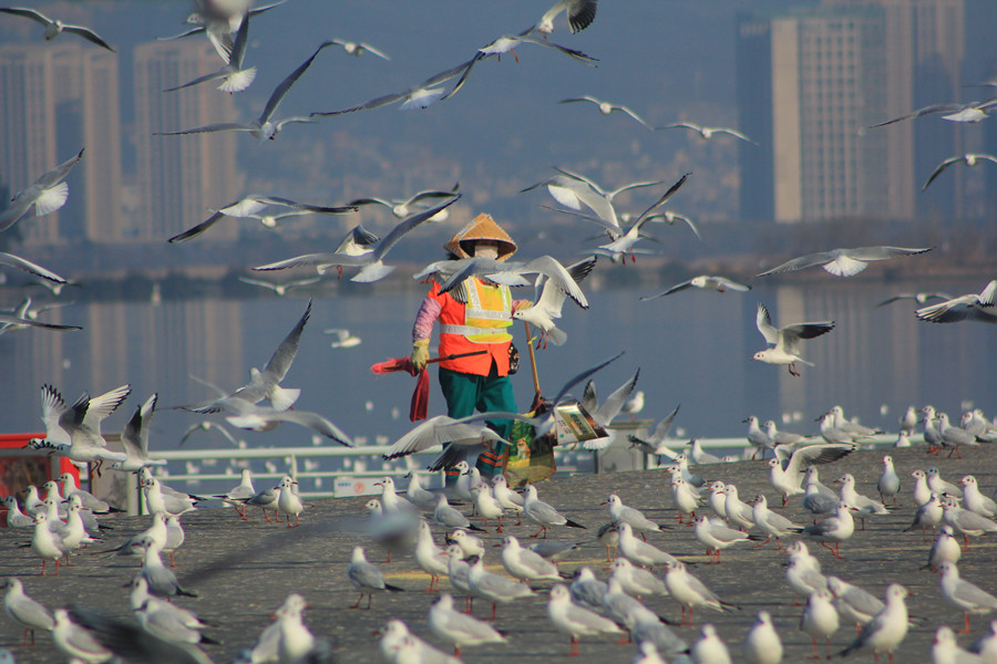 IMG_6326_副本.jpg