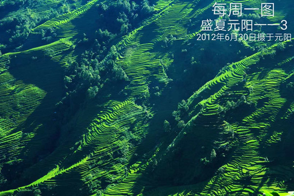 85-18-6-9盛夏元阳—3_副本.jpg