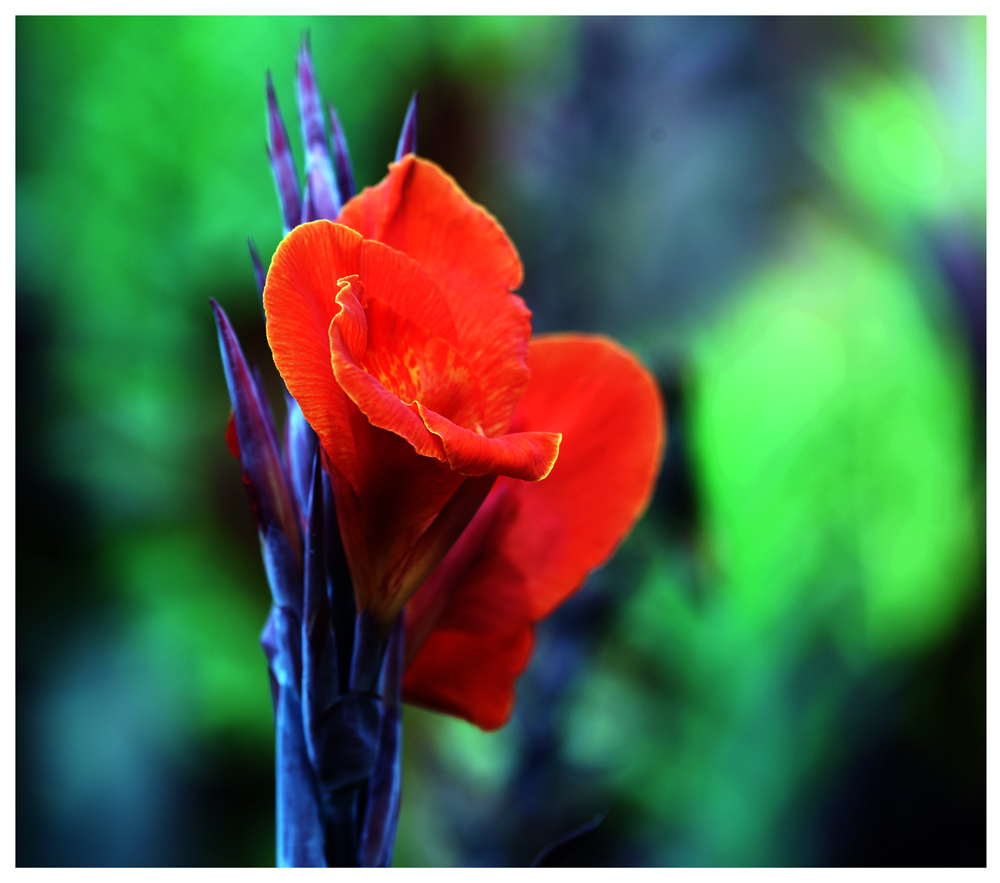 DSC_1632.JPG