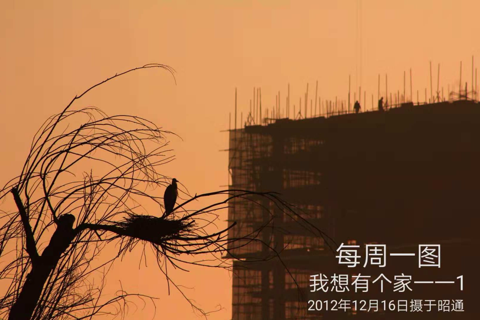 109-18-11-24我想有个家--1.jpg