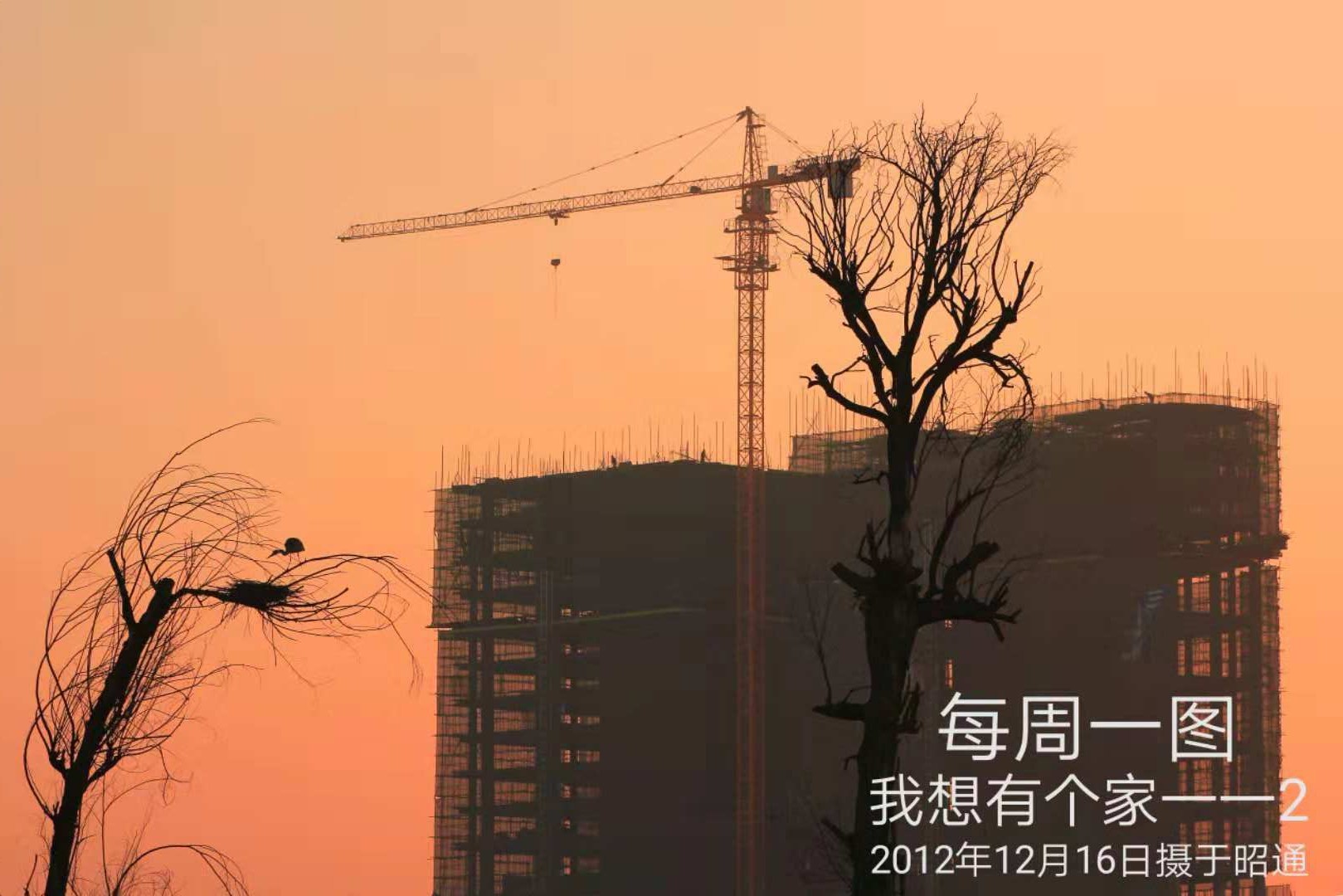 110-18-12-1我想有个家--2.jpg