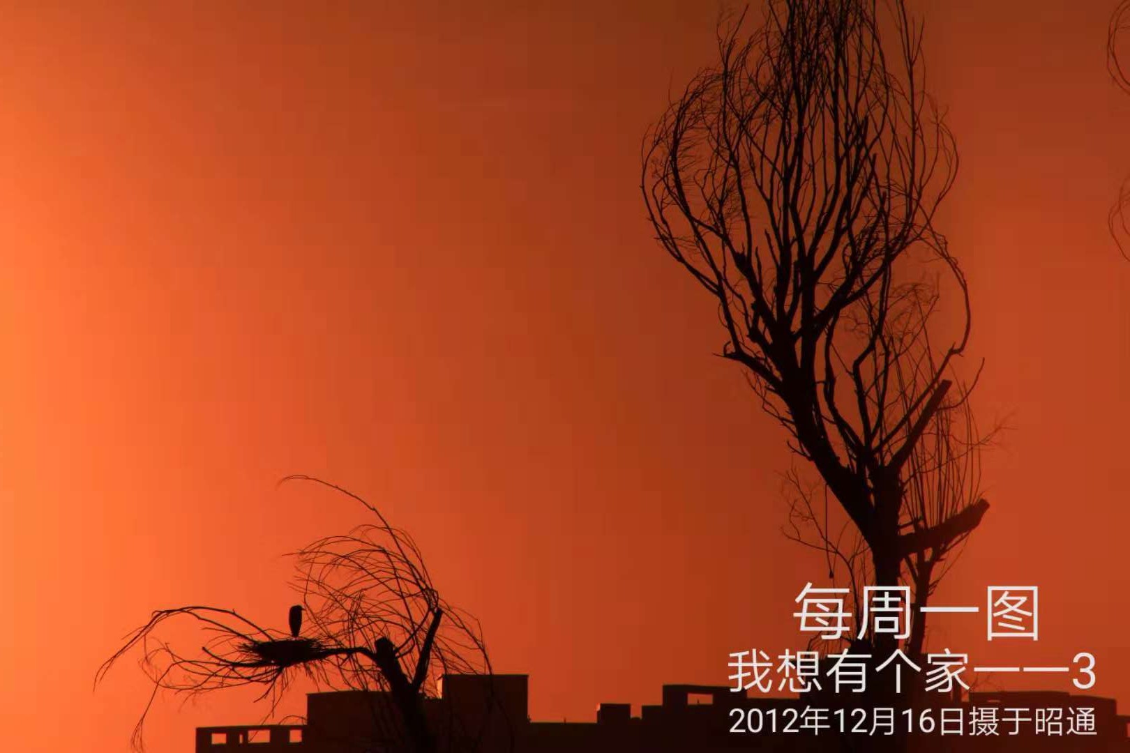 111-18-12-8我想有个家--3.jpg