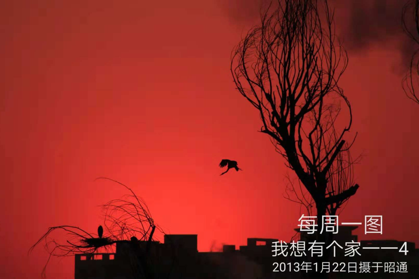 112-18-12-15我想有个家--4.jpg