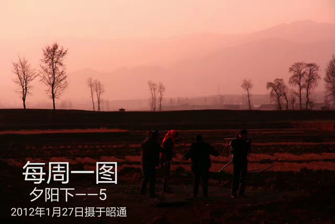22-17-3-25夕阳下--5.jpg