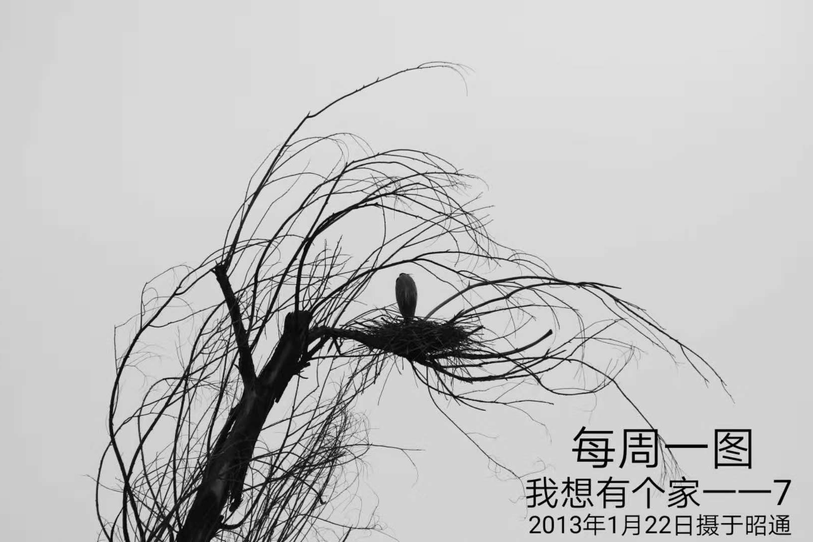 115-19-1-5我想有个家--7.jpg