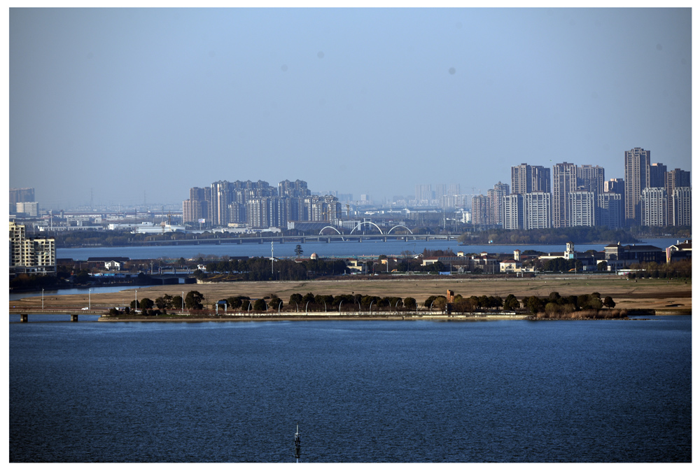 DSC_7967.JPG
