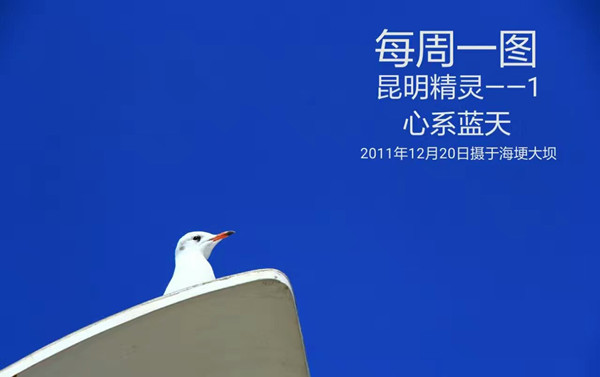12-17-1-14昆明精灵--1_副本.jpg