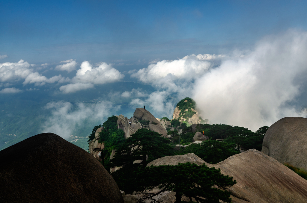 _DSC5986_副本.jpg
